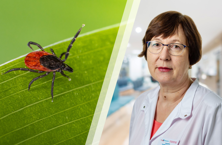 Клещевой энцефалит: показания и противопоказания к вакцинации - «РЖД